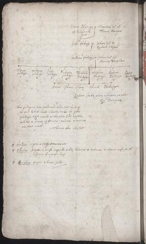 Original Document numérique not accessible